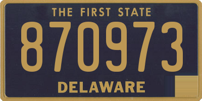 DE license plate 870973