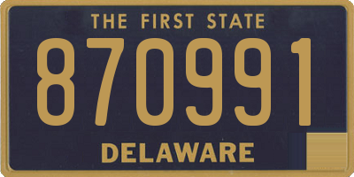DE license plate 870991