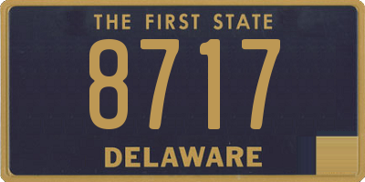 DE license plate 8717