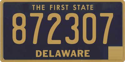 DE license plate 872307