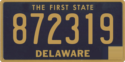 DE license plate 872319