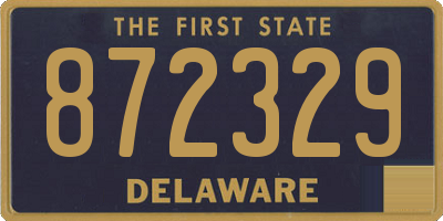 DE license plate 872329