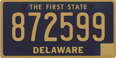 DE license plate 872599