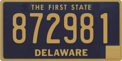 DE license plate 872981