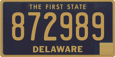 DE license plate 872989
