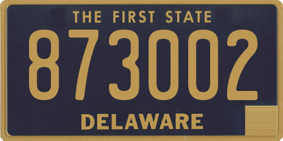 DE license plate 873002