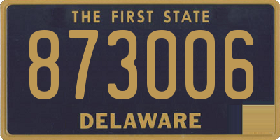 DE license plate 873006