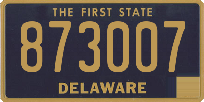 DE license plate 873007