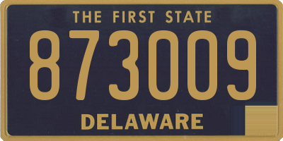 DE license plate 873009