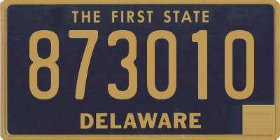 DE license plate 873010