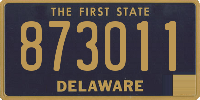 DE license plate 873011