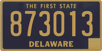 DE license plate 873013