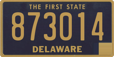 DE license plate 873014