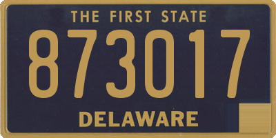 DE license plate 873017