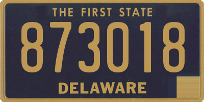 DE license plate 873018