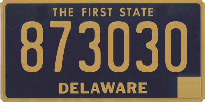 DE license plate 873030