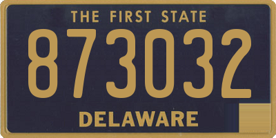 DE license plate 873032