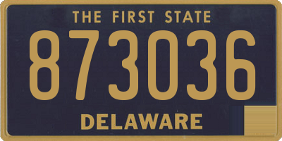 DE license plate 873036