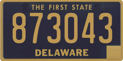 DE license plate 873043