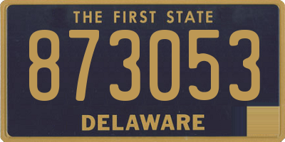 DE license plate 873053