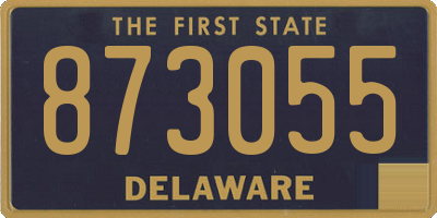 DE license plate 873055