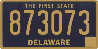 DE license plate 873073