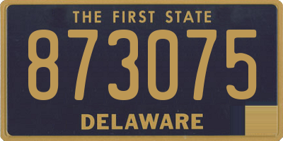 DE license plate 873075