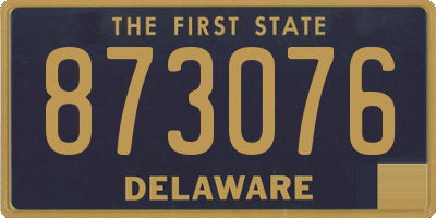DE license plate 873076