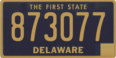DE license plate 873077