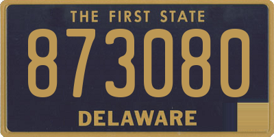 DE license plate 873080