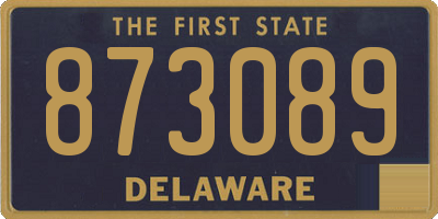 DE license plate 873089