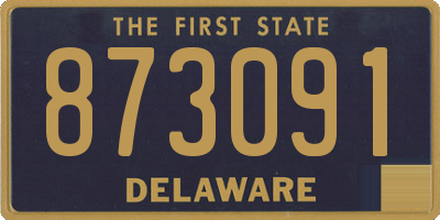DE license plate 873091
