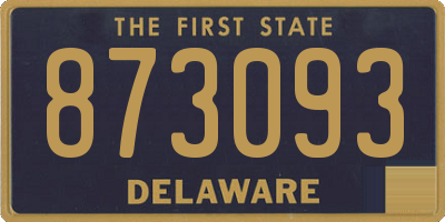 DE license plate 873093