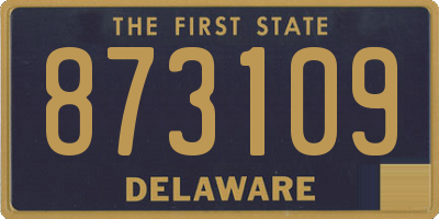 DE license plate 873109