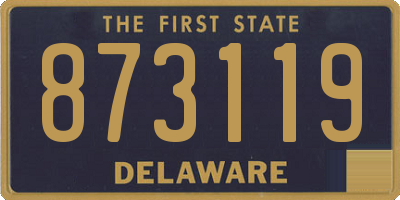 DE license plate 873119
