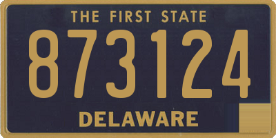 DE license plate 873124