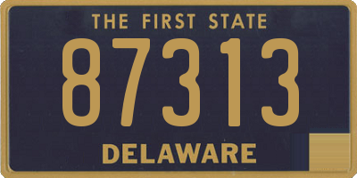 DE license plate 87313