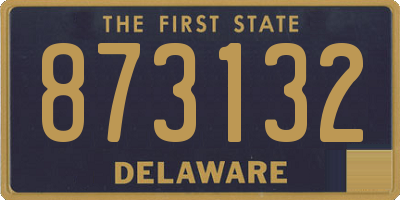 DE license plate 873132