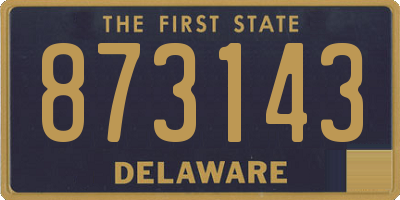 DE license plate 873143