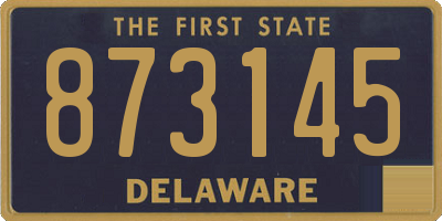 DE license plate 873145