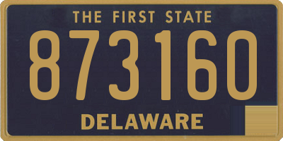 DE license plate 873160