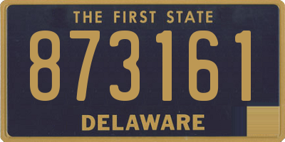 DE license plate 873161