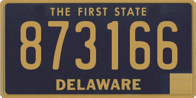 DE license plate 873166
