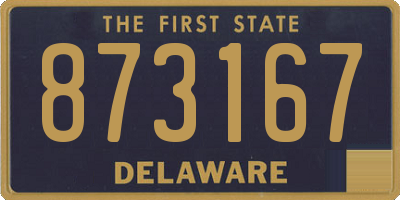 DE license plate 873167