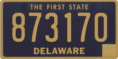 DE license plate 873170