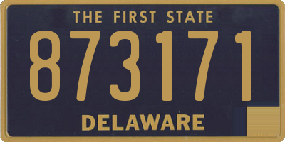 DE license plate 873171