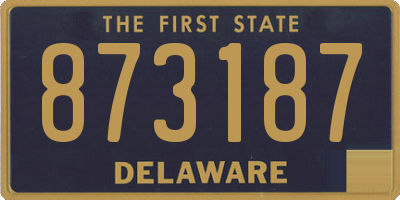DE license plate 873187