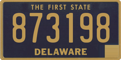 DE license plate 873198