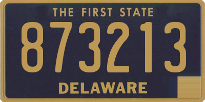 DE license plate 873213
