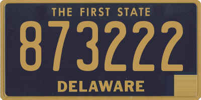 DE license plate 873222